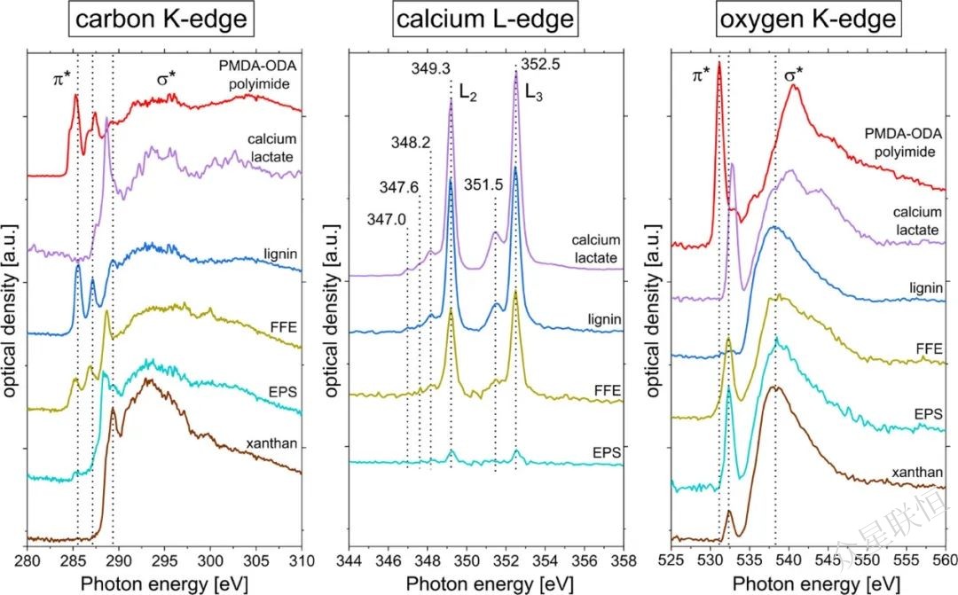 北京眾星聯(lián)恒科技有限公司